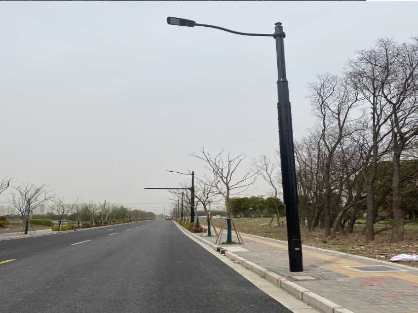 邳州市上海综合杆 太阳能路灯工程